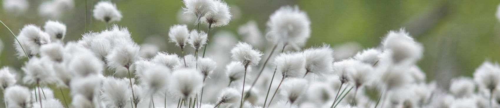 Pourquoi opter pour un peignoir écologique